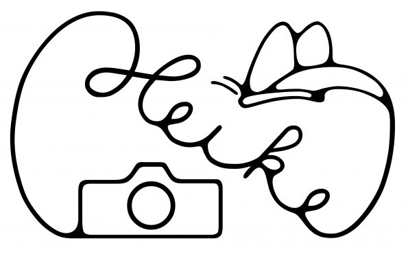 logo_sw
